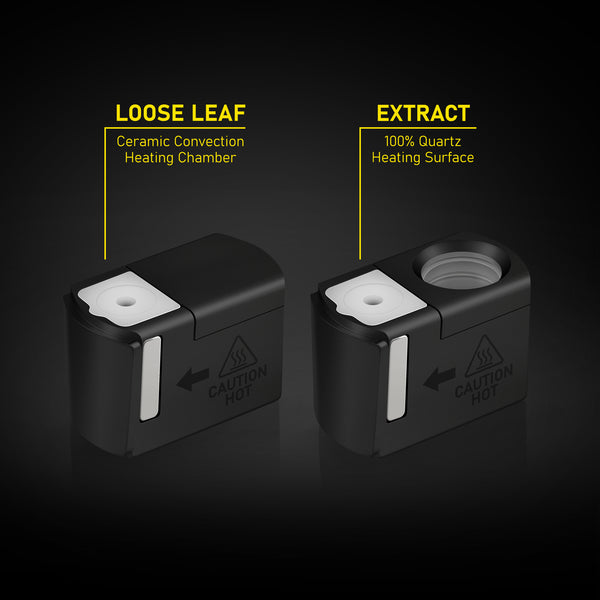 MidNight_Chamber_Text-